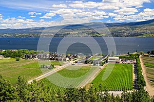 Westbank West Kelowna Okanagan Lake Vineyard photo