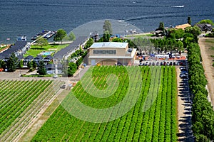 Westbank West Kelowna Okanagan Lake Vineyard photo