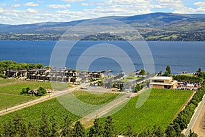 Westbank West Kelowna Okanagan Lake Vineyard photo