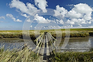 Westerhever (Germany) - Salt meadow with footbridge