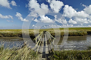 Westerhever (Germany) - Salt meadow with footbridge