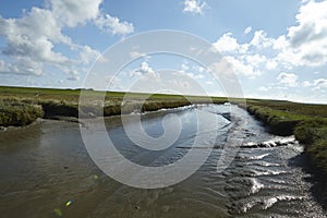 Westerhever (Germany) - Salt meadows with ditch