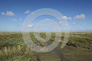 Westerhever (Germany) - Salt meadows with ditch