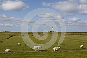 Westerhever light house (Germany)