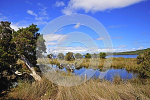 Western Australia: D'entrecasteaux n. park