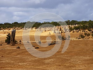 Western Australia, Pinnacles Desert