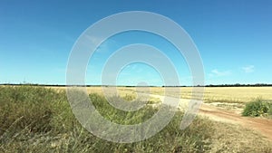 Western australia wheat belt landscape