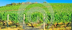 Western Australia Wineries