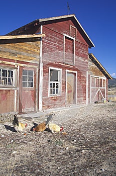 Western barn