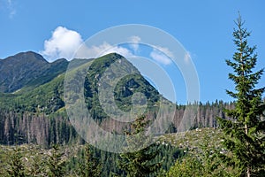 Western carpathian mountain panorama in clear day