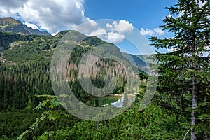 Western carpathian mountain panorama in clear day