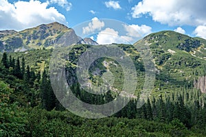 Western carpathian mountain panorama in clear day