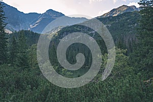 Western carpathian mountain panorama in clear day - vintage retro look