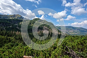 Western carpathian mountain panorama in clear day