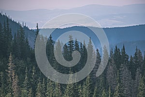 Western carpathian mountain tops in autumn covered in mist or clouds with blue cast and multidimensional lines - vintage old film