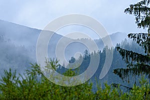 Hmlisté ranné zobrazenie v mokrej horskej oblasti v slovenských Tatrách. jesenné farebné lesy