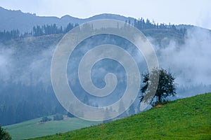 Hmlisté ranné zobrazenie v mokrej horskej oblasti v slovenských Tatrách. jesenné farebné lesy