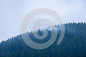 Misty morning view in wet mountain area in slovakian tatra. autumn colored forests