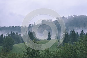 Misty morning view in wet mountain area in slovakian tatra. autumn colored forests - vintage film look