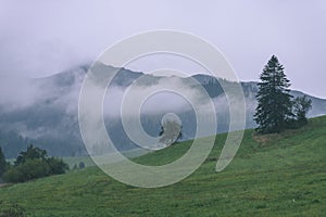 Misty morning view in wet mountain area in slovakian tatra. autumn colored forests - vintage film look