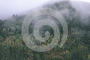 Misty morning view in wet mountain area in slovakian tatra. autumn colored forests - vintage film look