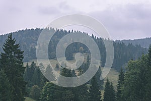 Misty morning view in wet mountain area in slovakian tatra. autumn colored forests - vintage film look