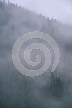 Misty morning view in wet mountain area in slovakian tatra. autumn colored forests - vintage film look