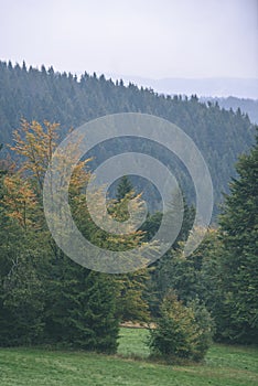 Misty morning view in wet mountain area in slovakian tatra. autumn colored forests - vintage film look