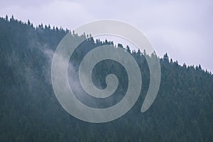 Misty morning view in wet mountain area in slovakian tatra. autumn colored forests - vintage film look