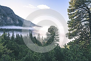 Misty morning view in wet mountain area in slovakian tatra. autumn colored forests - vintage film look