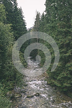 Misty morning view in wet mountain area in slovakian tatra. autumn colored forests - vintage film look