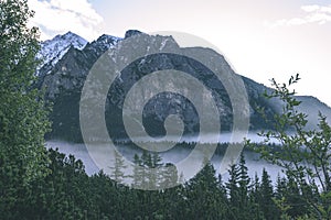 Misty morning view in wet mountain area in slovakian tatra. autumn colored forests - vintage film look