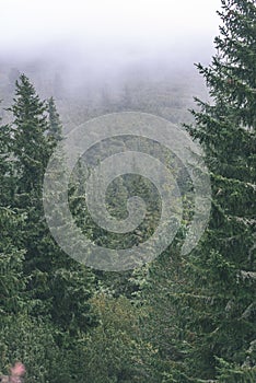 Misty morning view in wet mountain area in slovakian tatra. autumn colored forests - vintage film look