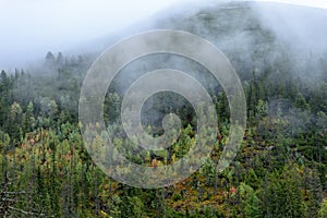 Misty morning view in wet mountain area in slovakian tatra. autumn colored forests