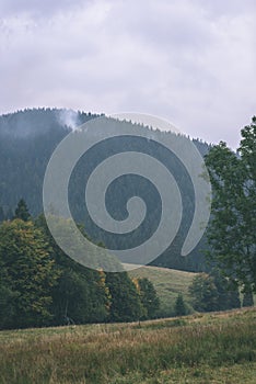 Hmlisté ranné zobrazenie v mokrej horskej oblasti v slovenských Tatrách. jesenné farebné lesy - vzhľad vintage filmu