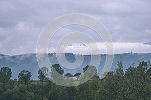 Misty morning view in wet mountain area in slovakian tatra. autumn colored forests - vintage film look