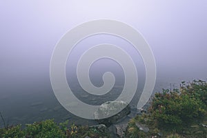 Misty morning view in wet mountain area in slovakian tatra. mountain lake panorama - vintage film look