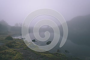 Misty morning view in wet mountain area in slovakian tatra. mountain lake panorama - vintage film look