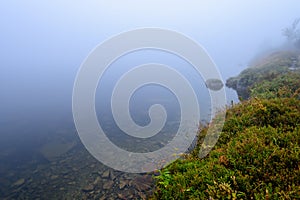 Misty morning view in wet mountain area in slovakian tatra