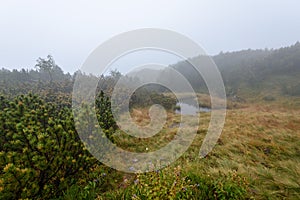 Misty morning view in wet mountain area in slovakian tatra