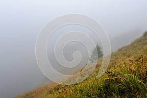 Misty morning view in wet mountain area in slovakian tatra