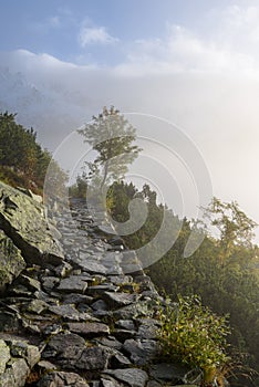 Misty morning view in wet mountain area in slovakian tatra