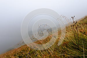 Misty morning view in wet mountain area in slovakian tatra