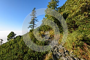 Misty morning view in wet mountain area in slovakian tatra