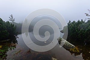 Misty morning view in wet mountain area in slovakian tatra. mountain lake panorama