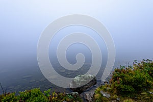 Misty morning view in wet mountain area in slovakian tatra. mountain lake panorama