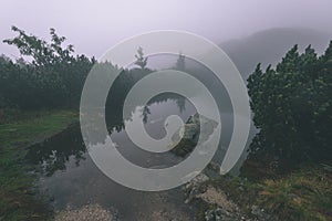 Misty morning view in wet mountain area in slovakian tatra. mountain lake panorama - vintage film look