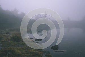 Misty morning view in wet mountain area in slovakian tatra. mountain lake panorama - vintage film look