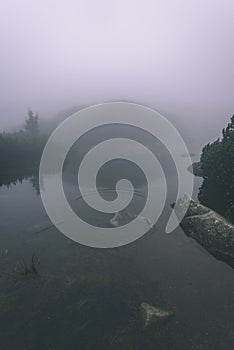 Misty morning view in wet mountain area in slovakian tatra. mountain lake panorama - vintage film look