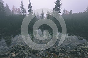 Misty morning view in wet mountain area in slovakian tatra. mountain lake panorama - vintage film look